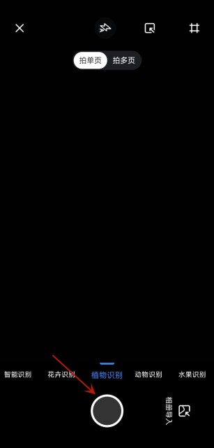 手机扫一扫识别植物怎么操作?你可以这样识别