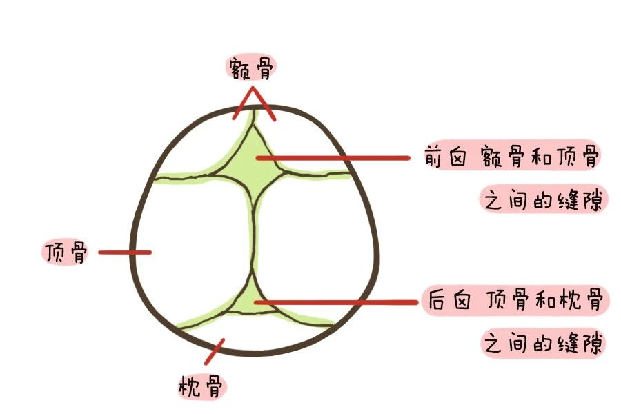 看不到寶寶囟門跳動,這種情況正常嗎?