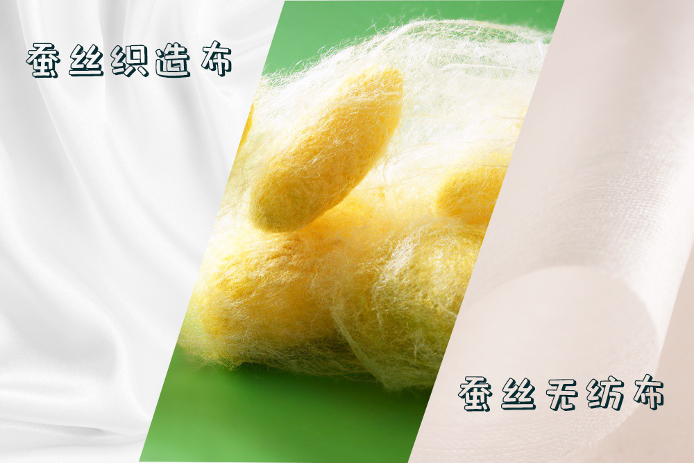 不同蚕种|琥珀蚕的科普