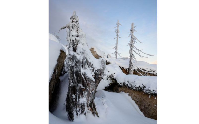 spss26中文版免费下载安装教程数据分析必备的统计软件spss27介绍