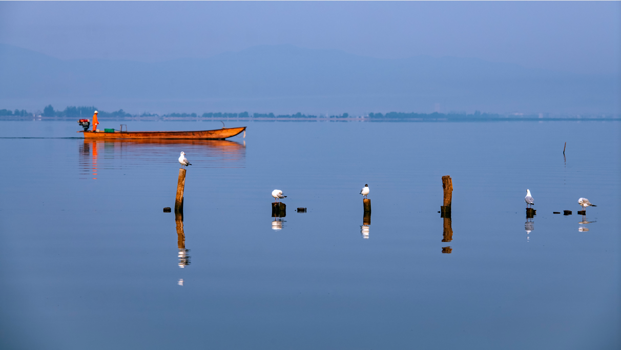 杞麓湖边尝通海乌鱼,爬秀山公园拜拜佛