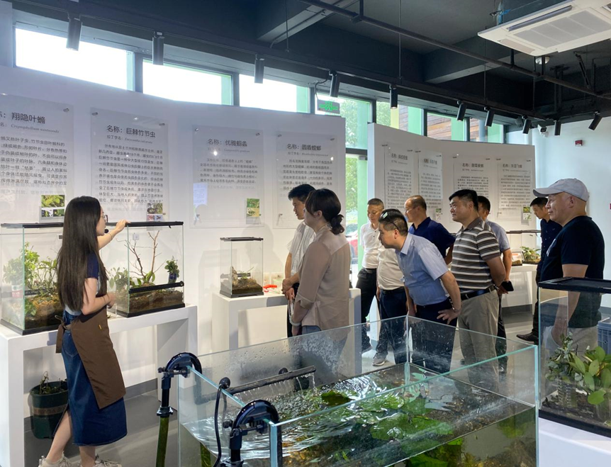 淳安县县委常委鲁连美及各乡镇商会负责人调研千岛湖虫趣科普馆