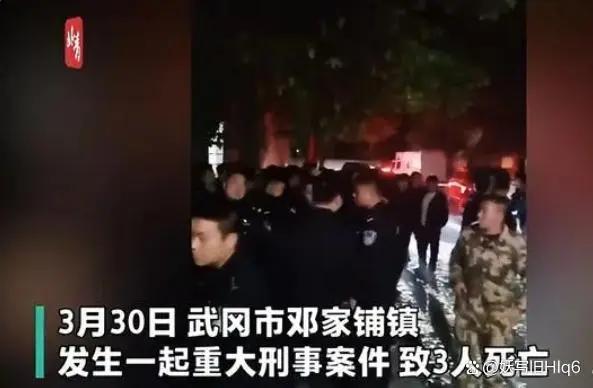 湖南武冈330血案图片