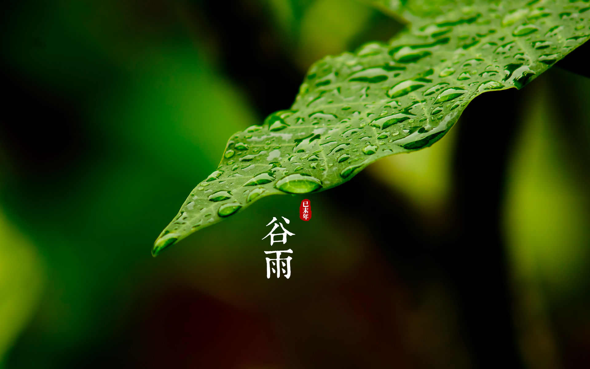 雨生百谷,谷雨养生攻略!
