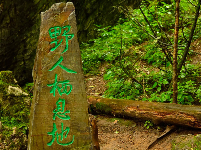 神农架野人(神农架野人是否存在)-第1张图片-鲸幼网