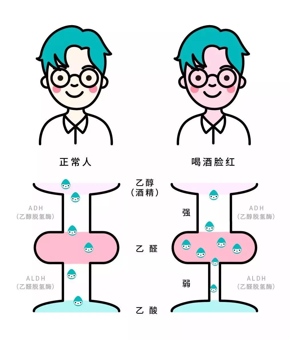 "喝酒脸红"和"喝酒脸白",哪种人更能喝?看完别再乱劝酒了