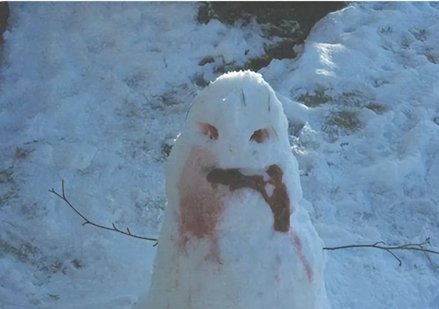 回顾东北肢体雪人案:宿舍四名女生被拼成雪人,惨案背后有何真相