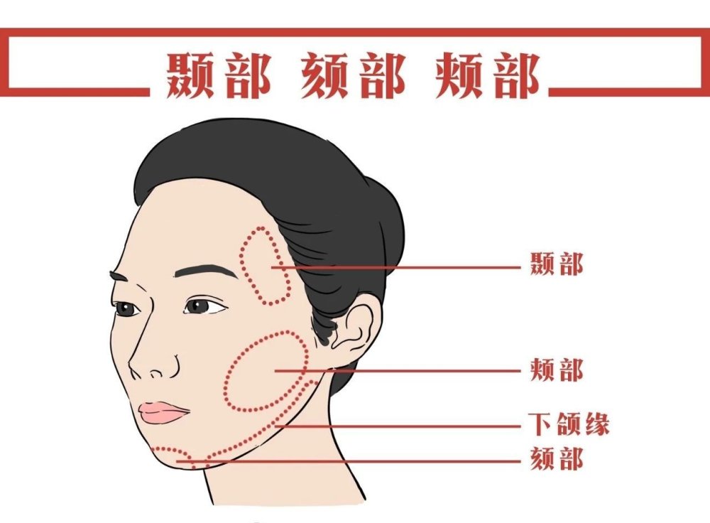 颊面管位置图片