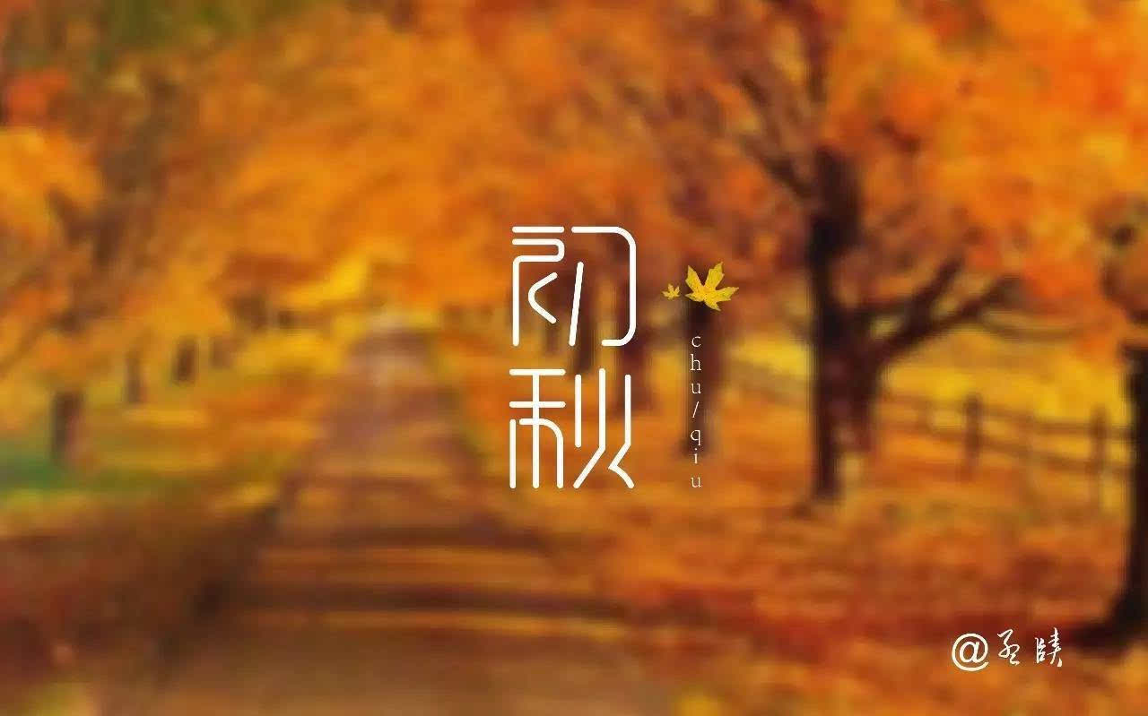 苦瓜命图片带字大全图片