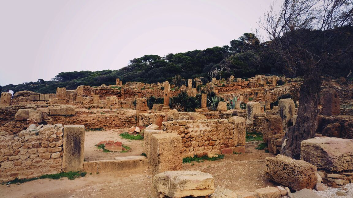 「古代西亚篇·叙利亚文明」铸就海上商业帝国的腓尼基人