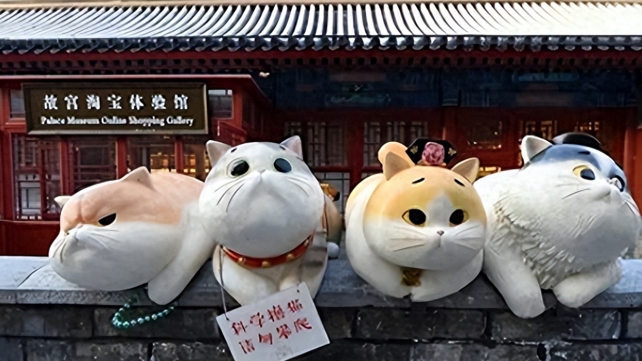 故宫有200多只猫,从未有人驱赶,单霁翔院长它们是活着的文物