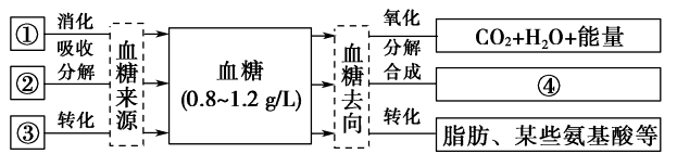 水盐平衡调节 示意图图片