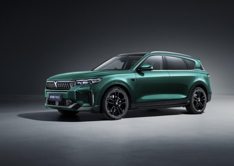 全面升级!续航1201公里,新岚图free公路旅行家