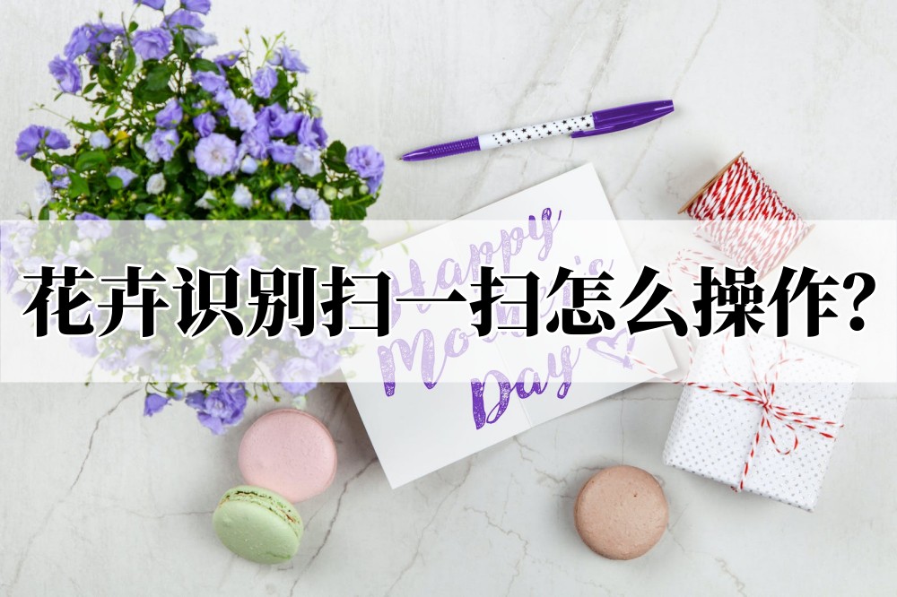 花卉识别扫一扫怎么操作?快速扫一扫识别花卉