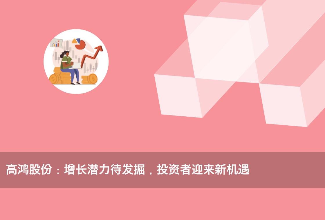 高鸿股份:增长潜力待发掘,投资者迎来新机遇