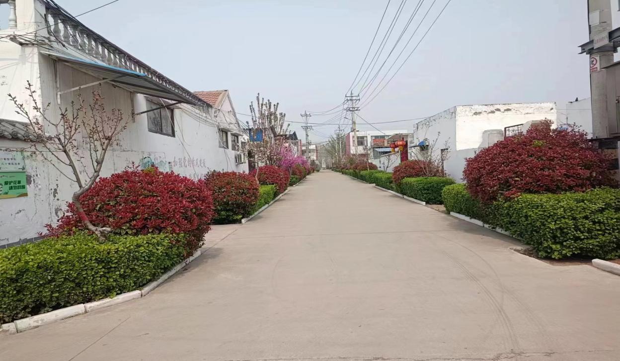 滕州市级索镇开展"擂台大比武 实干赢满意"活动