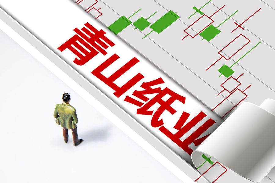 探索青山纸业:行业领先,创造纸业传奇