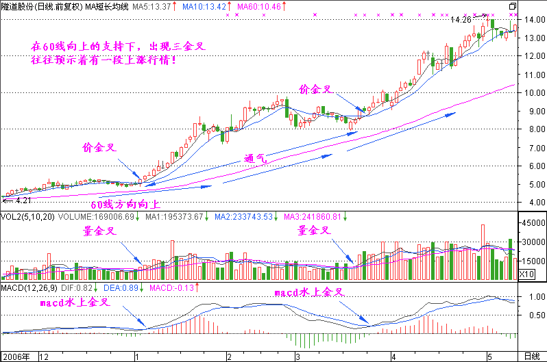 「炒股技巧」第8節 一腳踢出大黑馬——股票投資高手