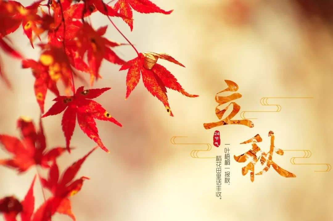 8月8日立秋,再忙也要记得吃"立秋3宝",顺应时节好度秋