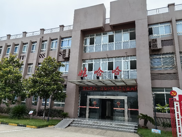 杭州娃哈哈集团总部图片