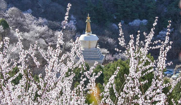 遵化旅遊景點都有哪些?