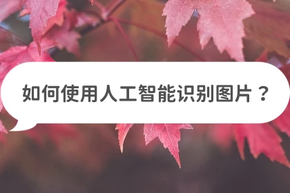 如何使用人工智能识别图片?试试这些识别方法