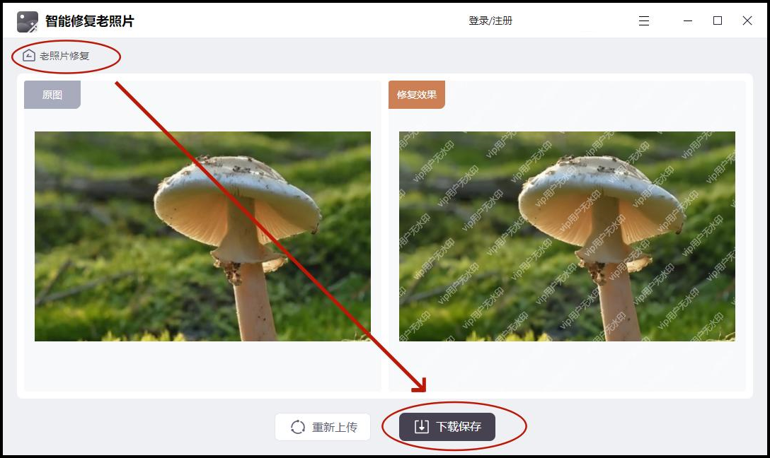 有哪些老照片修复神器?推荐3款修复神器