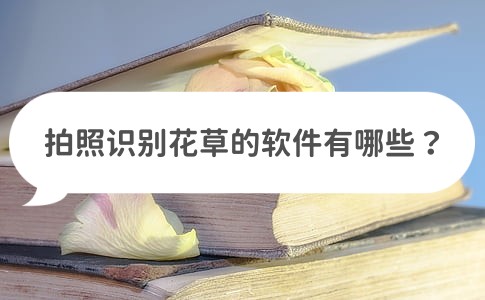 拍照識別花草的軟件有哪些?試試這些軟件