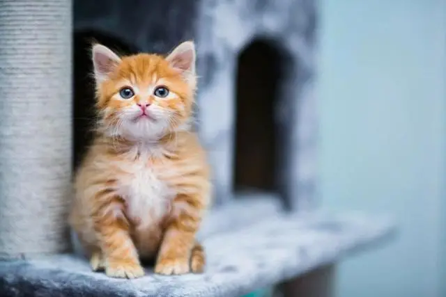 案例:江苏市长高雪坤,贪1337万,与他人有不正当性关系,终被查