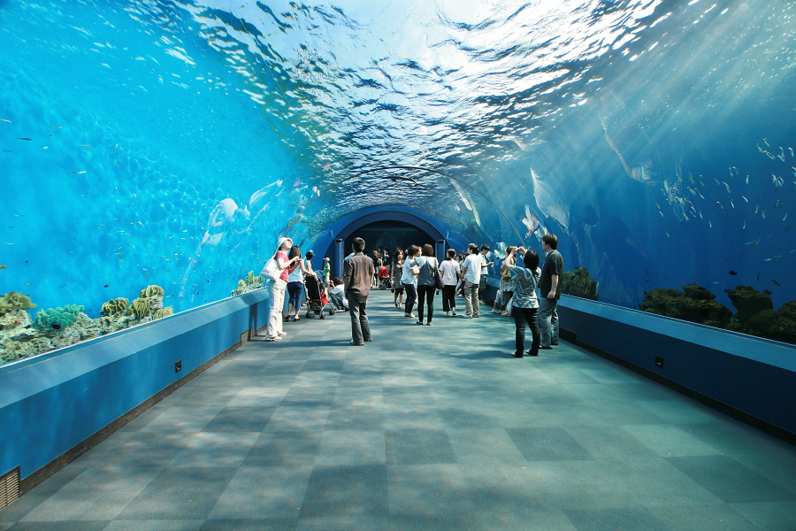 上海海洋水族馆外观图片