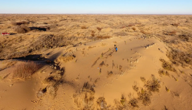 1985年,包办婚姻嫁到沙漠几次逃走失败,15年后获得诺贝尔奖提名