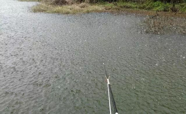 雨中垂钓图片图片