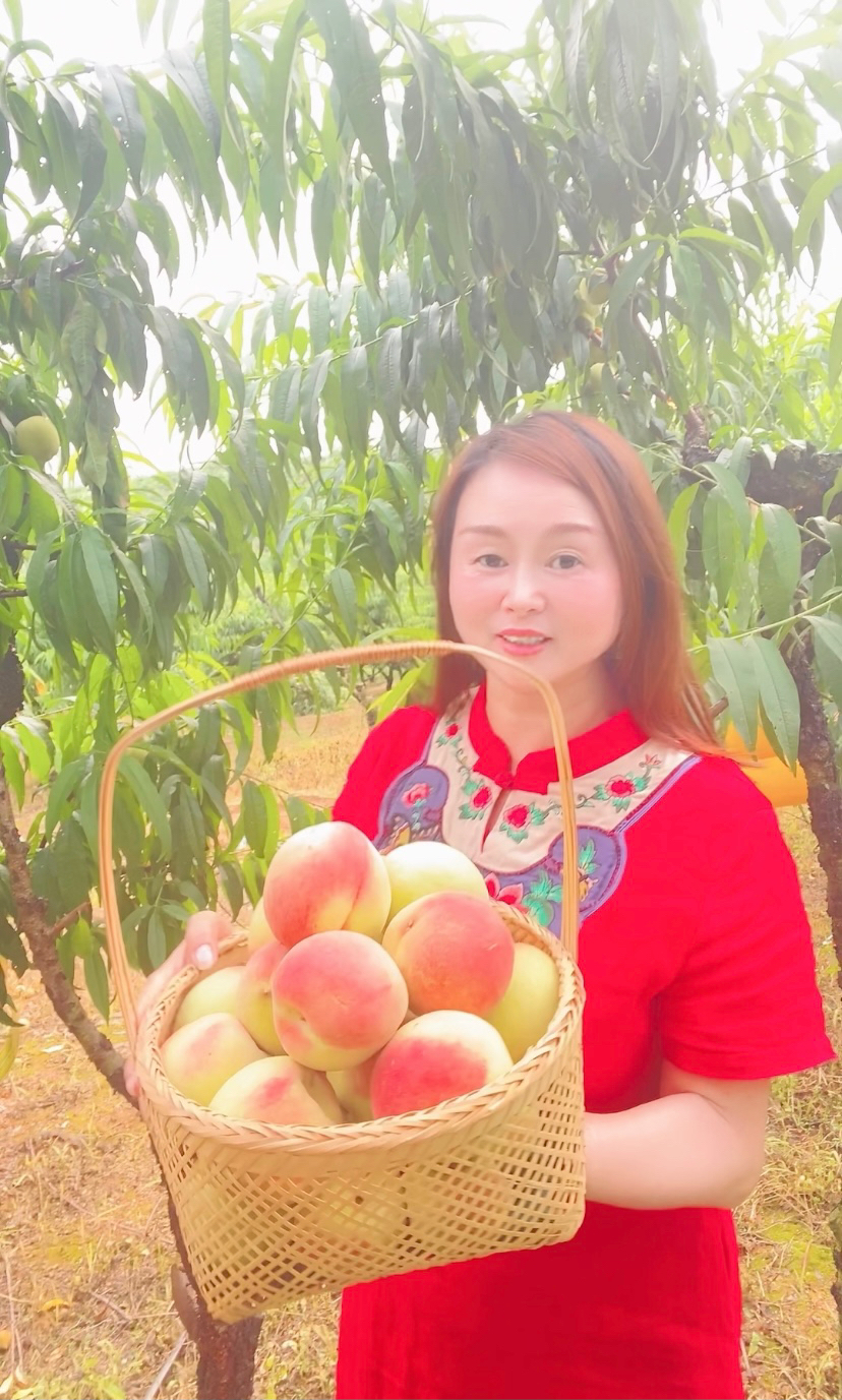 甜蜜来袭!广州花都千亩桃园桃子熟了