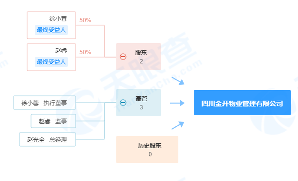 自然人徐开东分析