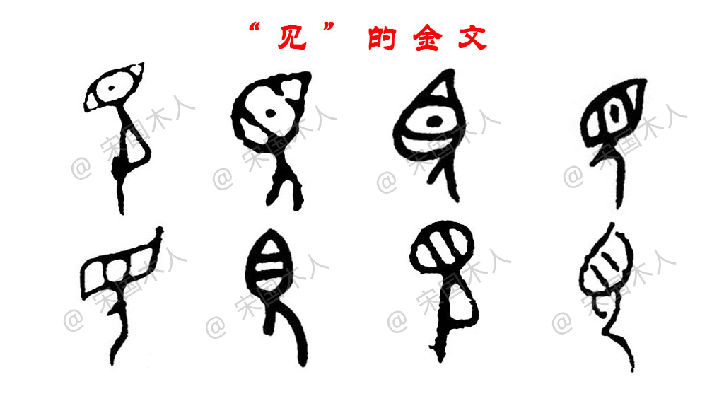 见:汉字的起源与演变(小学一年级语文生字 第85集)