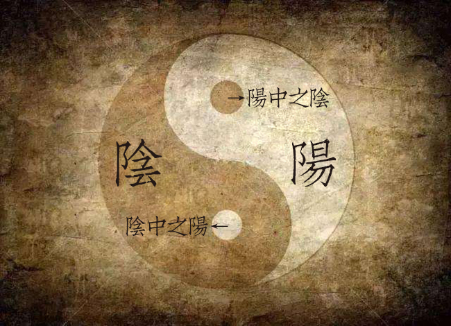 天地阴阳是如何应象?如何贯穿于人体的?
