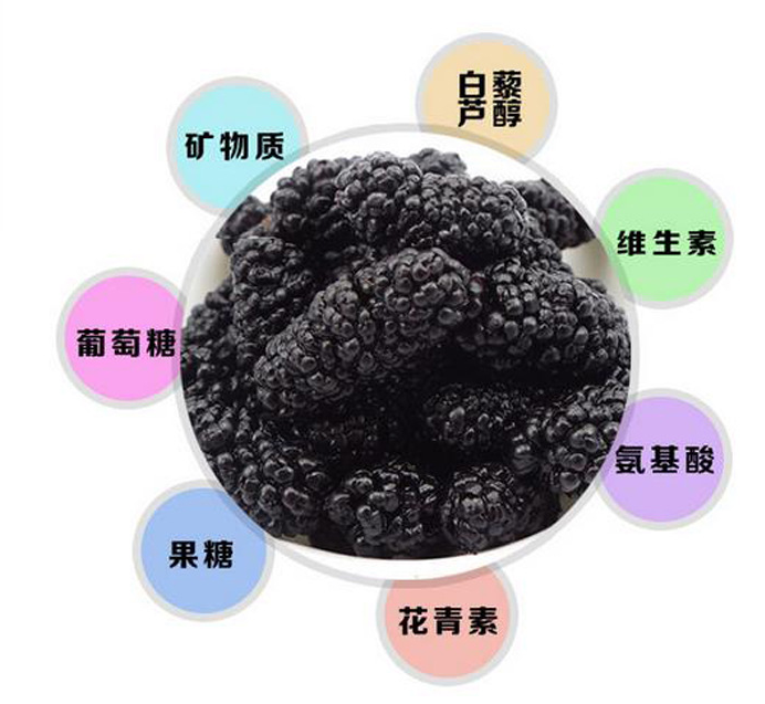 桑葚原浆在哪买桑葚原浆价格表,揭秘桑葚原浆神秘价格面纱