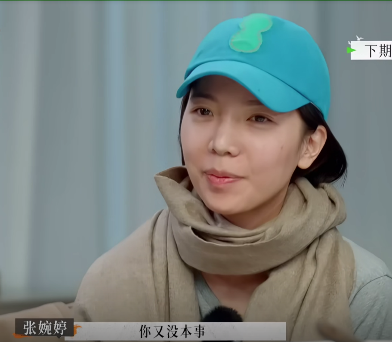 张婉婷发文怪网友,又遭网友怒怼,经纪人居然不懂危机公关