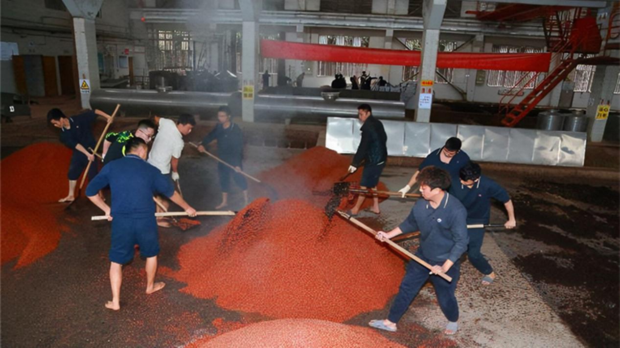 茅台酒厂"车间照"流出,员工奇葩操作引众议,难怪他们从不偷喝