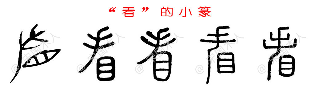 看汉字的起源与演变小学一年级语文生字第84集