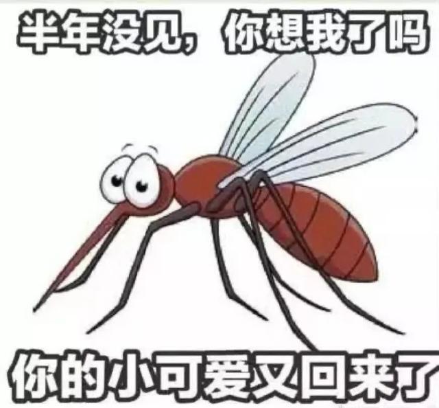 蚊子叮人表情包图片