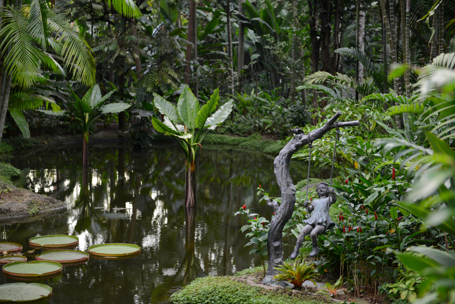 湛江热带植物园图片