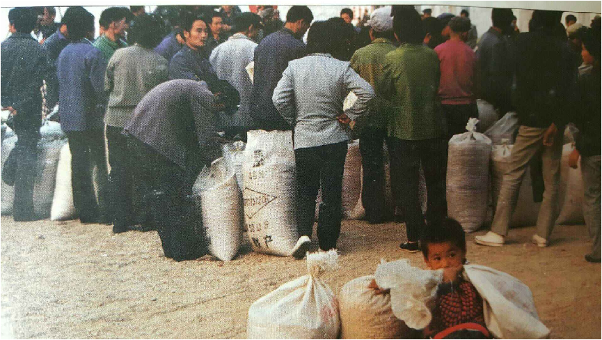 70年代农村交公粮图片图片