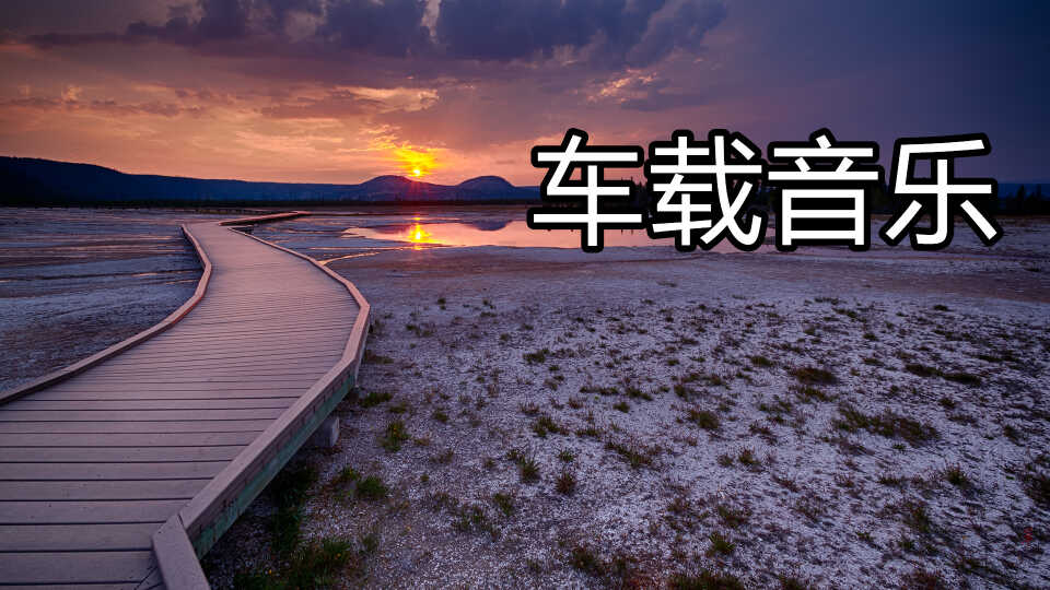 中文dj歌曲大全5000首_一人一首成名曲(内地 港台版)