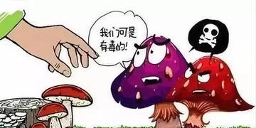 中毒幻觉图片