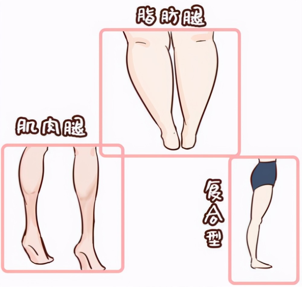 肌肉腿和正常腿的对比图片