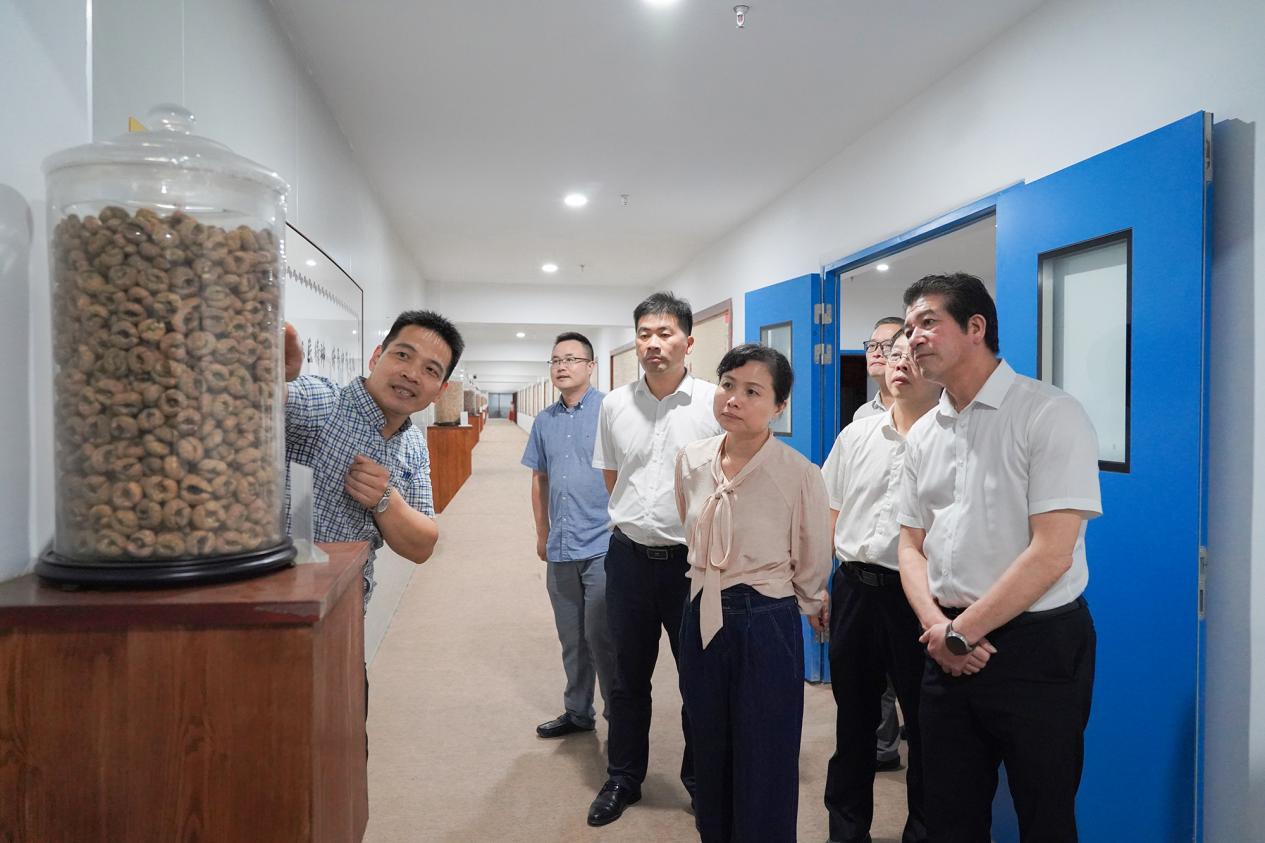 兰溪市人大常委副主任徐建光一行莅临济佰川考察调研指导工作