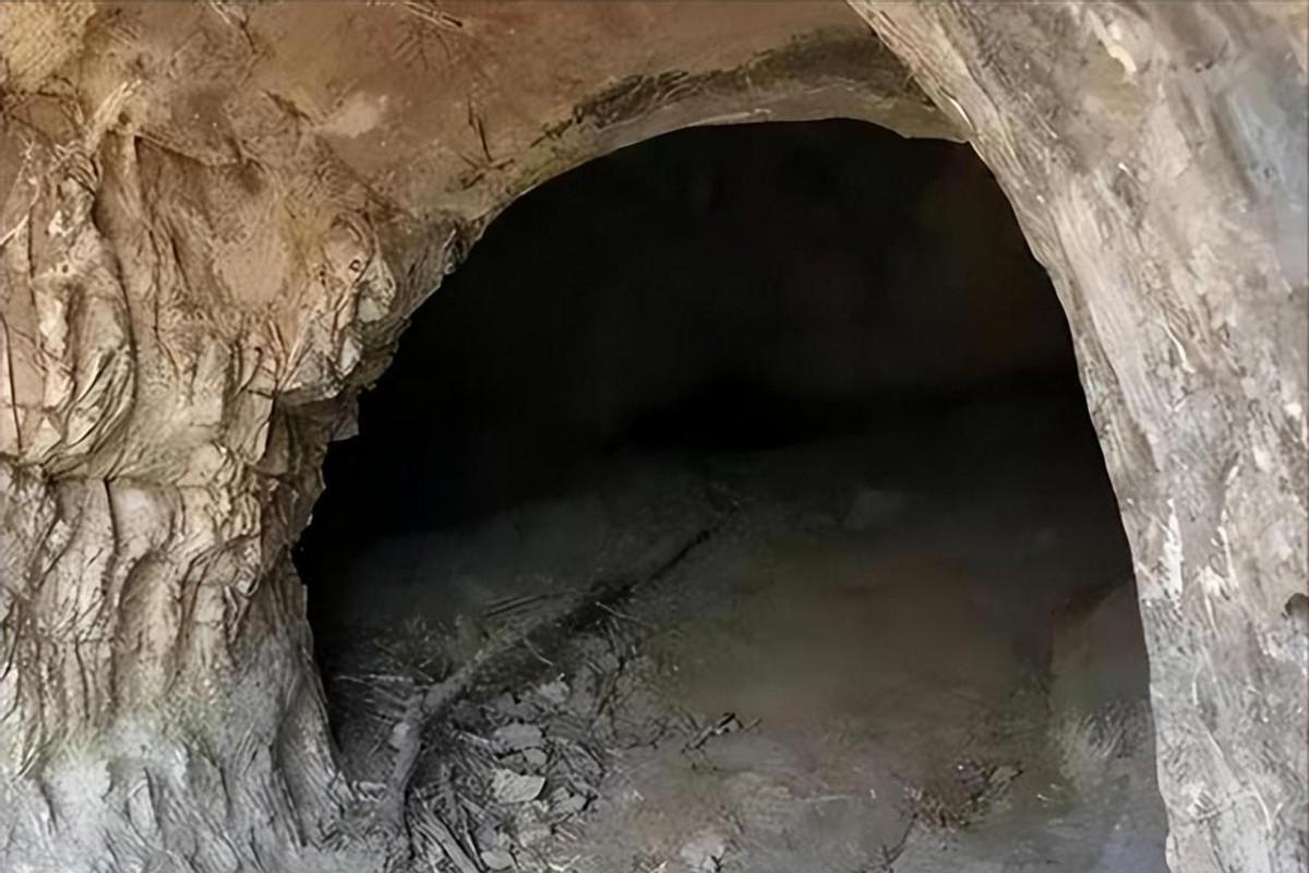 纪实:山东费县惨案:4人入室抢劫,当着丈夫的面侵犯妻子8小时