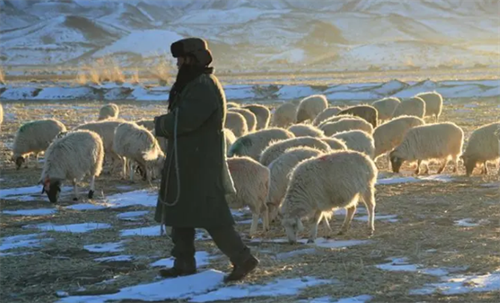 回顾 麻永东走下法庭 含泪与母亲告别后被押法场 行刑前表情镇定