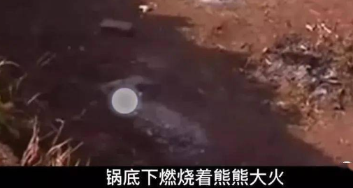 回顾:2016年,四川一女子被活活蒸死,曾惨叫1个多小时无人相救